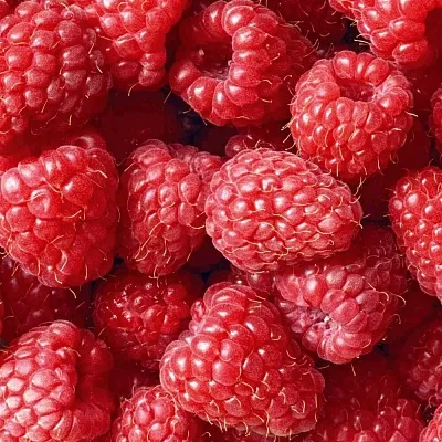 Летняя  Летняя в Грозном